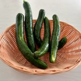 2024.5の様子🥒