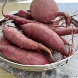 2024.9月の様子🍠